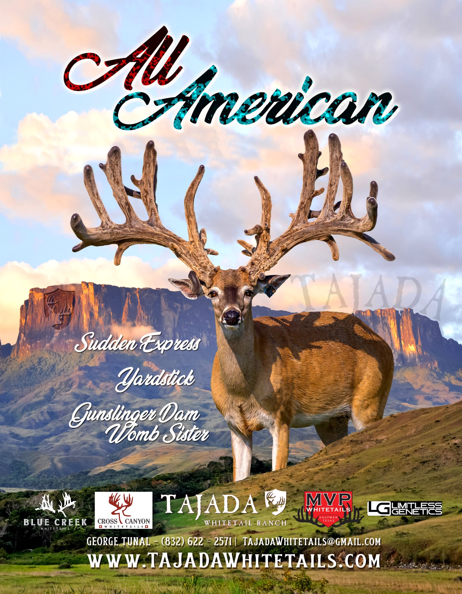 All American Tajada ad