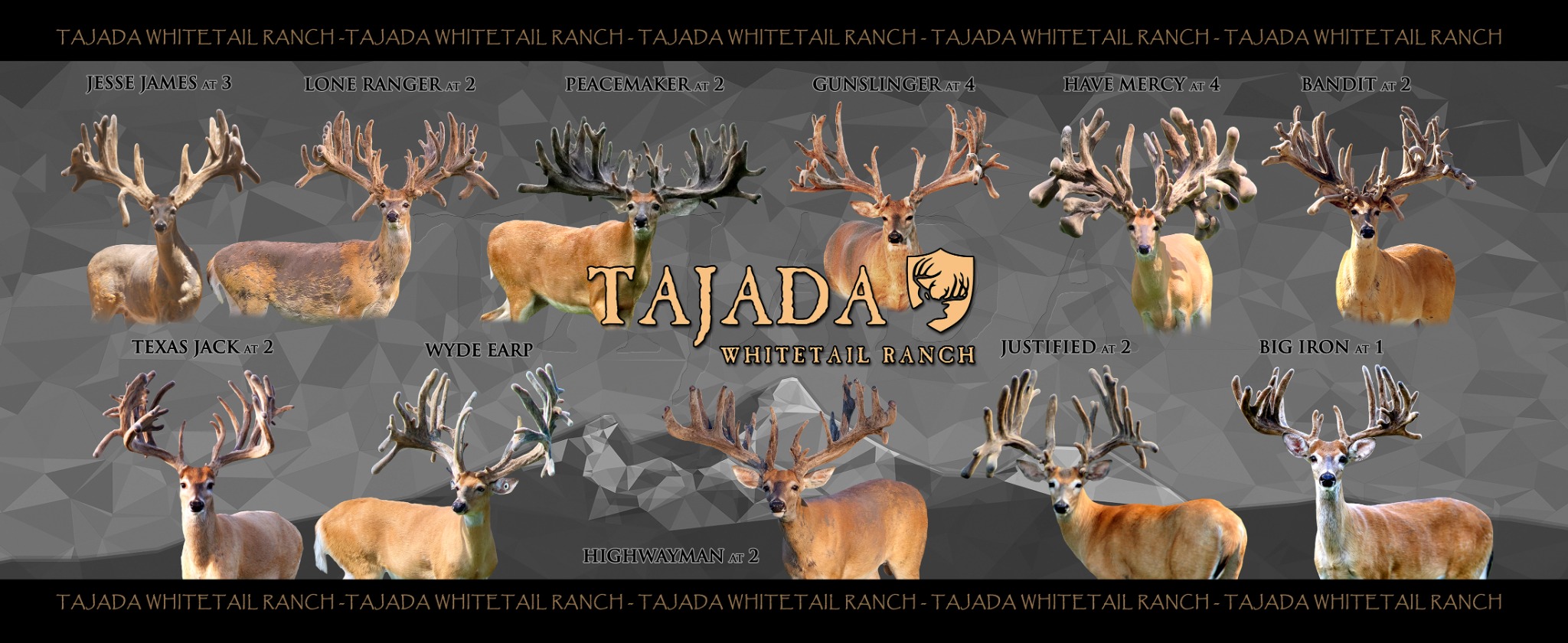 Trade-show backdrop concept / ranch lineup