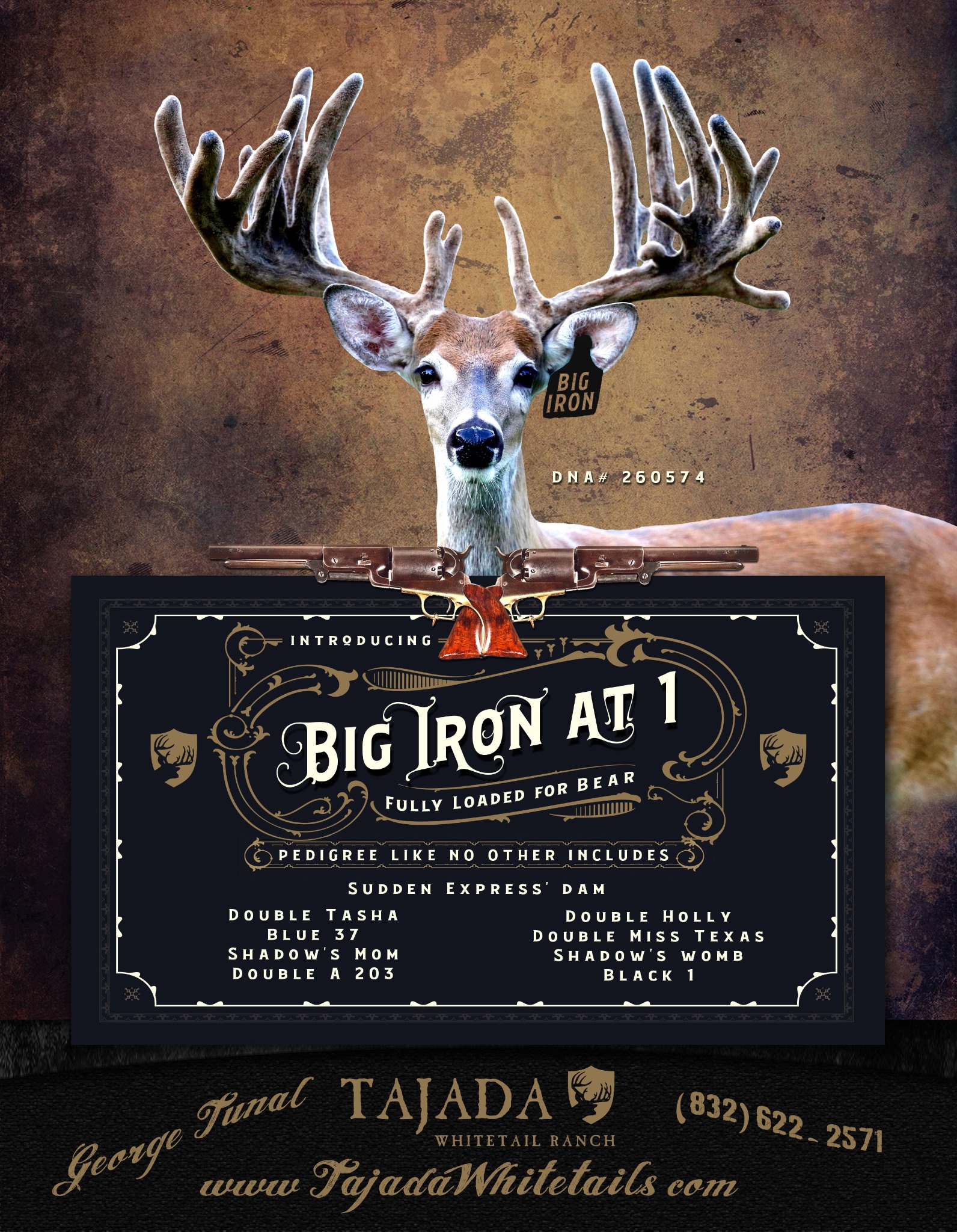 Big Iron Tajada advertising design