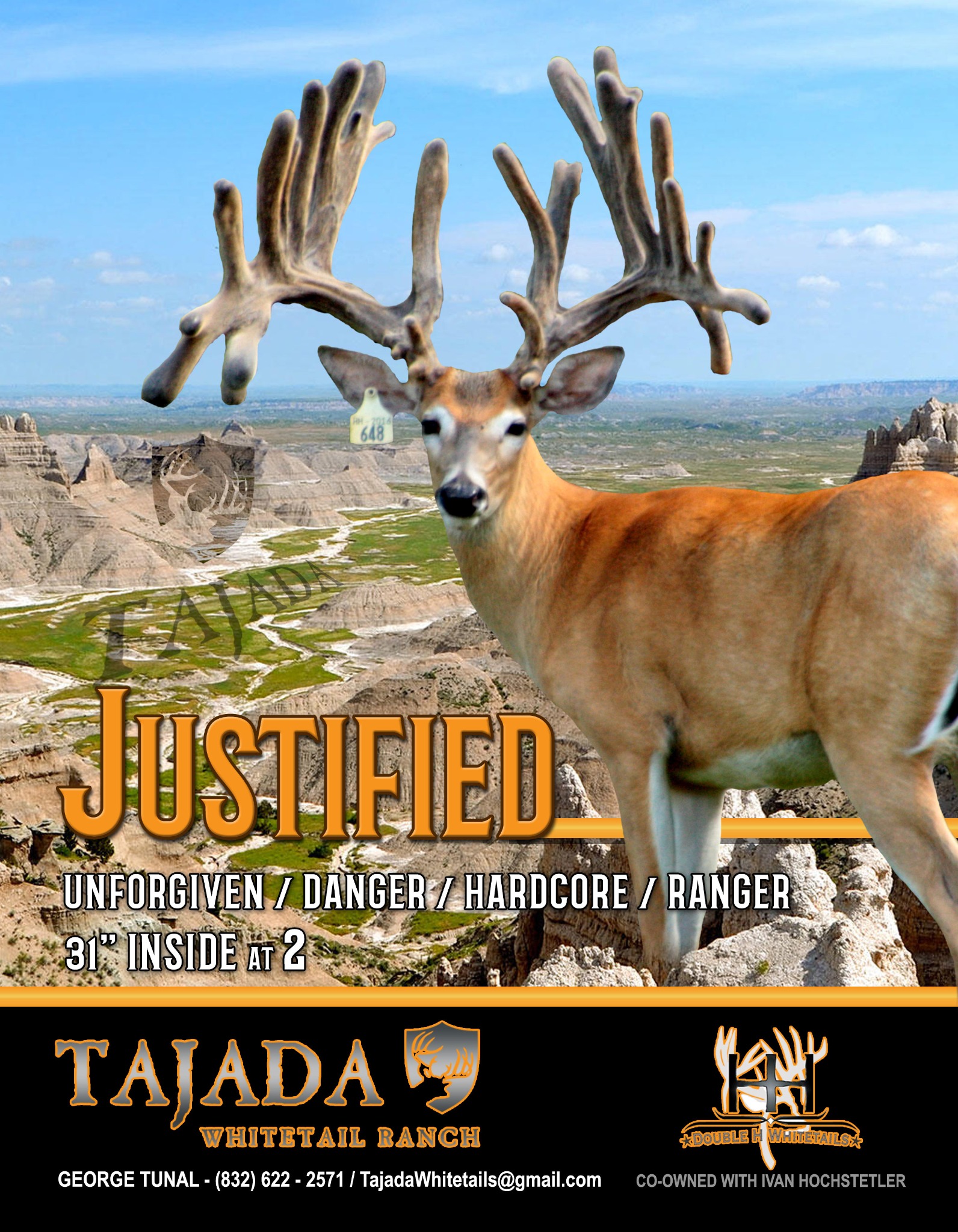 Justified Tajada advertising design