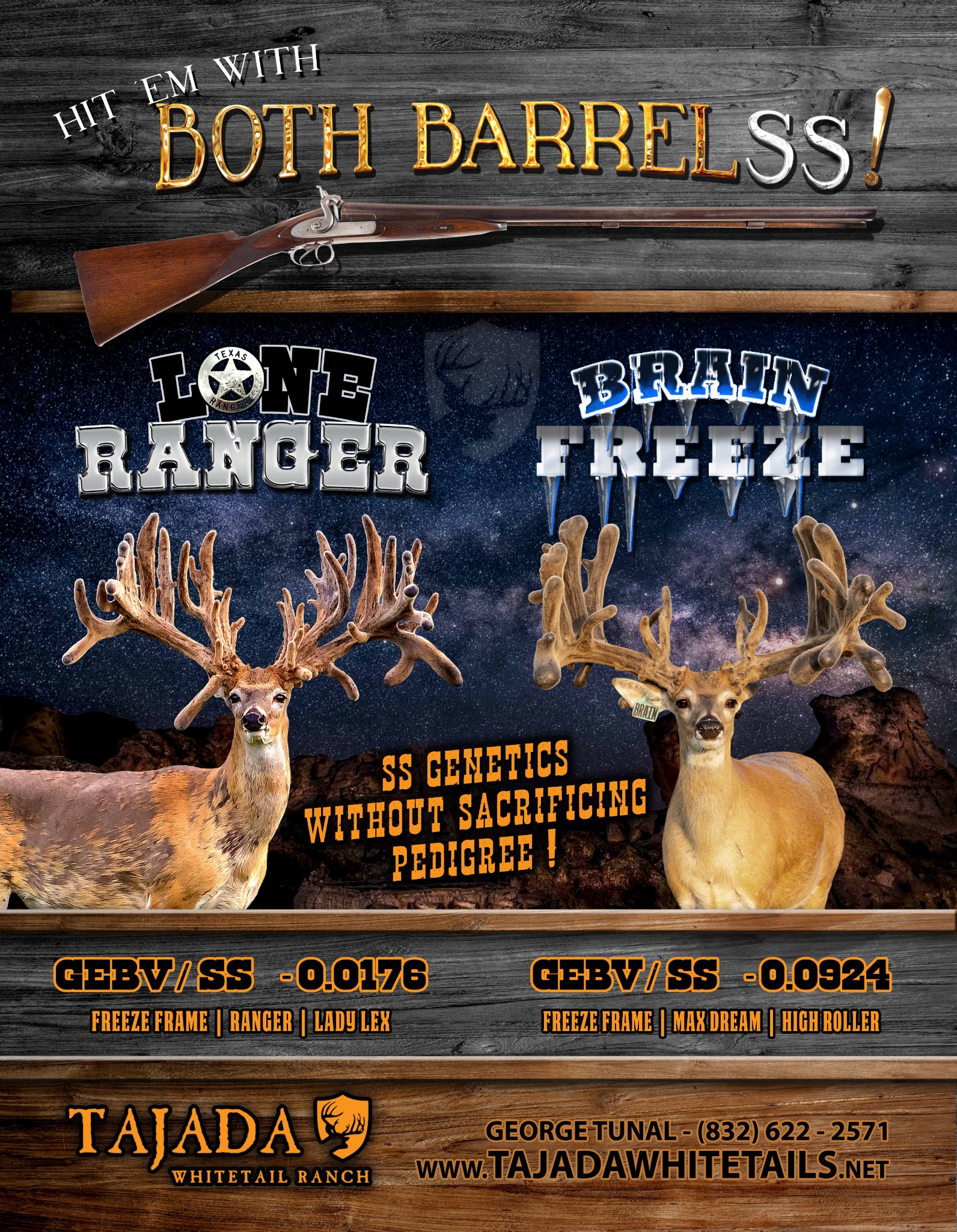 Lone Ranger / Brain Freeze Tajada advertising design