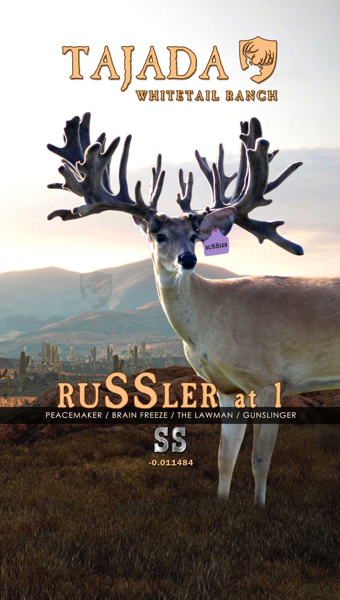 2026 pull-up / Russler