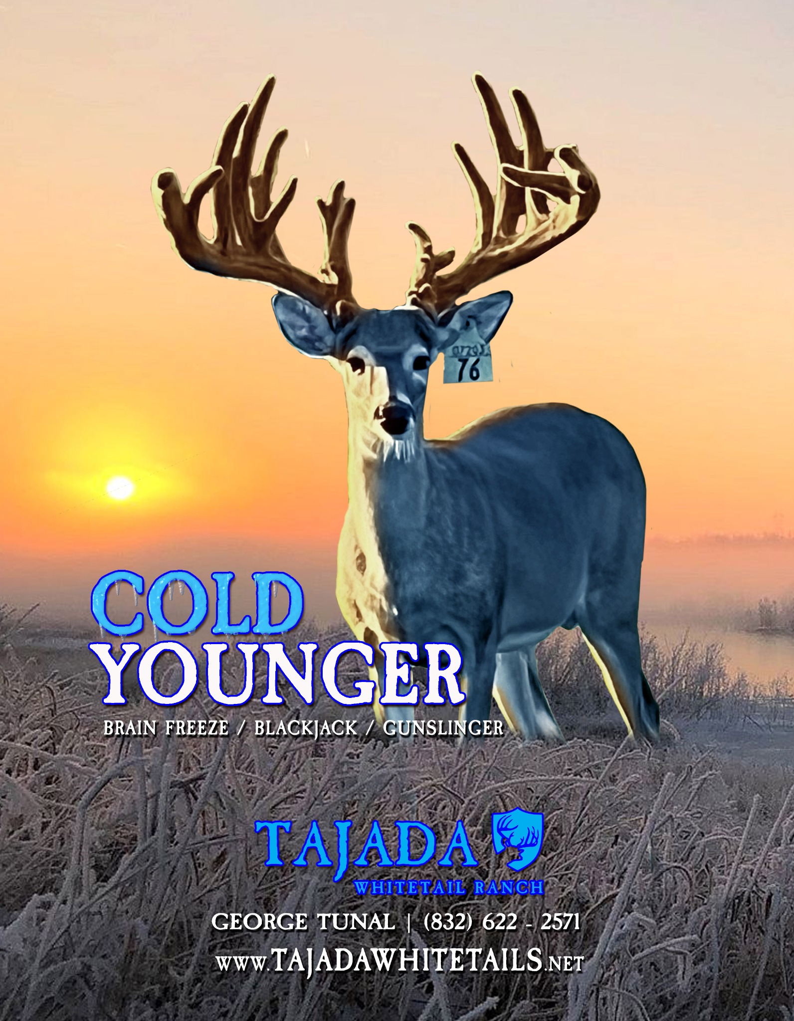 Cold Younger Tajada advertising design