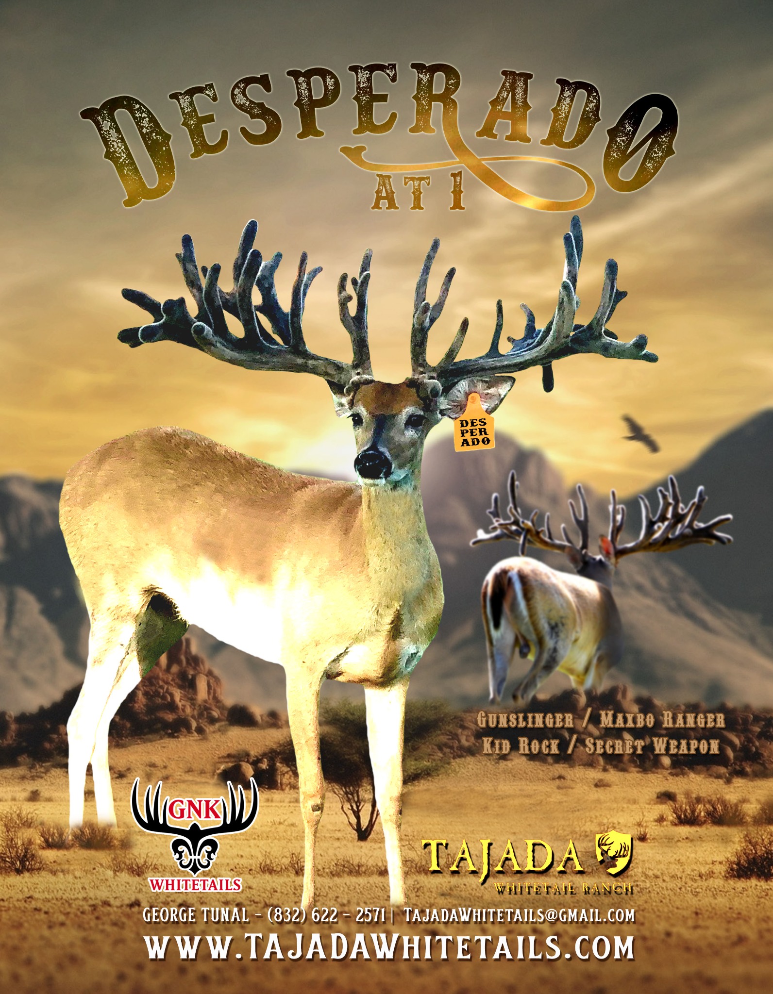 Desperado Tajada advertising design