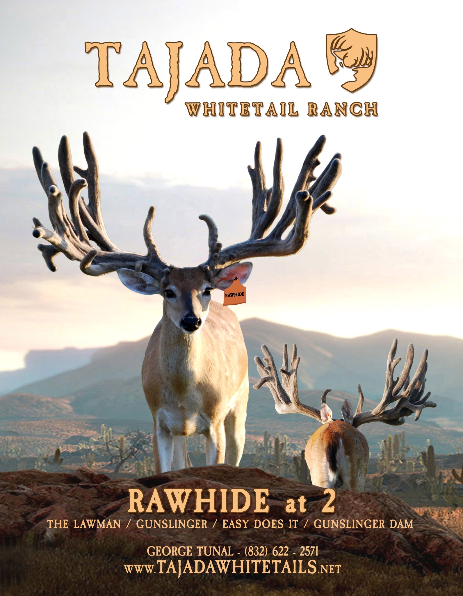 Rawhide Tajada advertising design