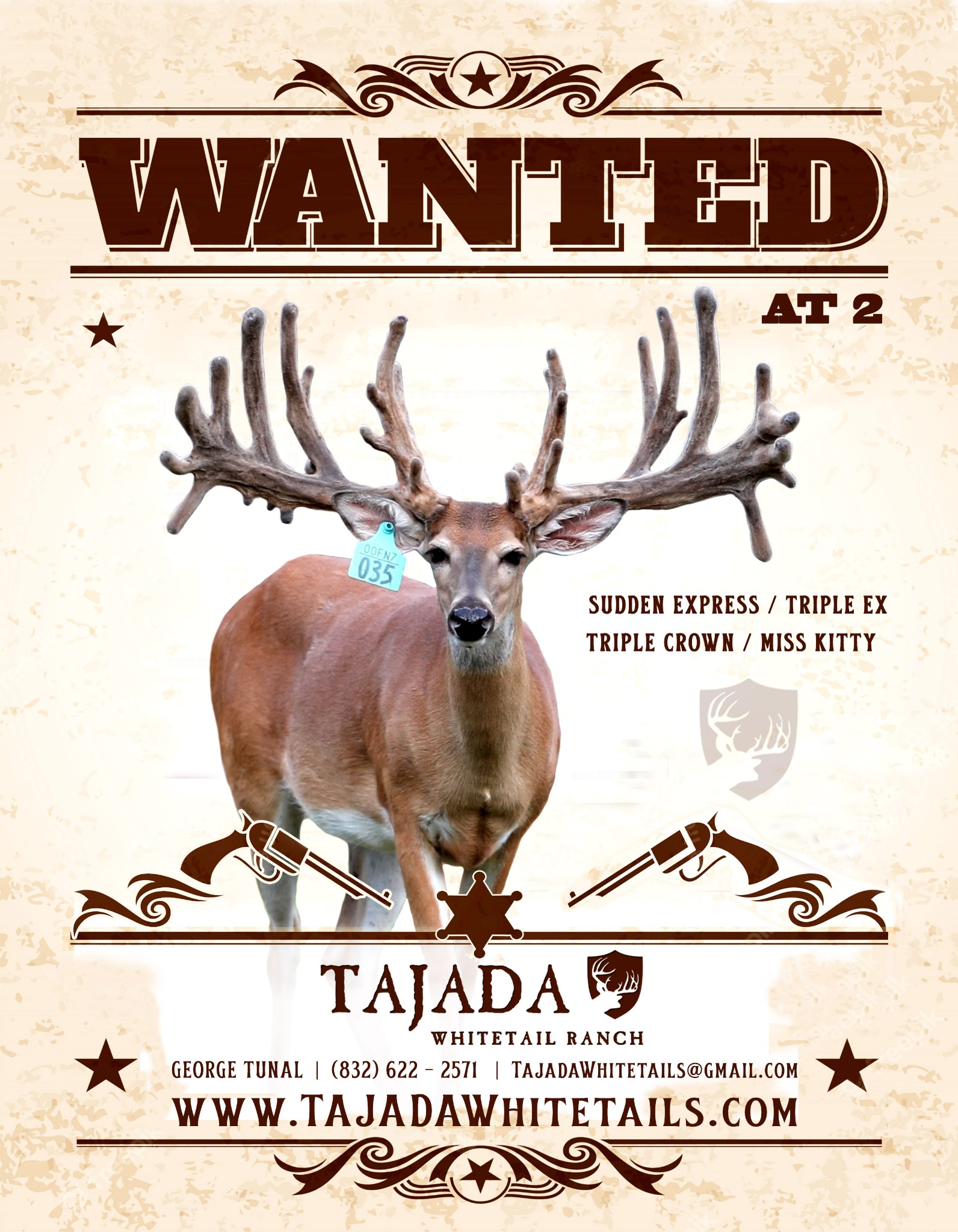 Wanted Tajada advertising design
